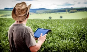 Bpo Financeiro Para Agronegócios - Multipla Contabilidade